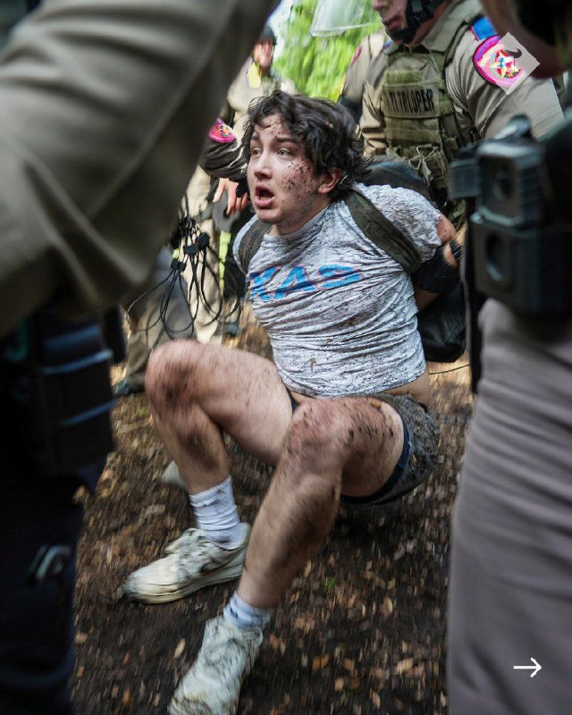 美国大学里的自由民主实践课，这么好的机会，为什么媒体人、法律人、教授、公知都选择