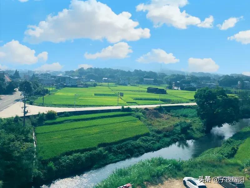 摊贩推着餐车在前面跑，饥饿的食客在后面不停的追。这是中午午餐时间发生在医院外面的