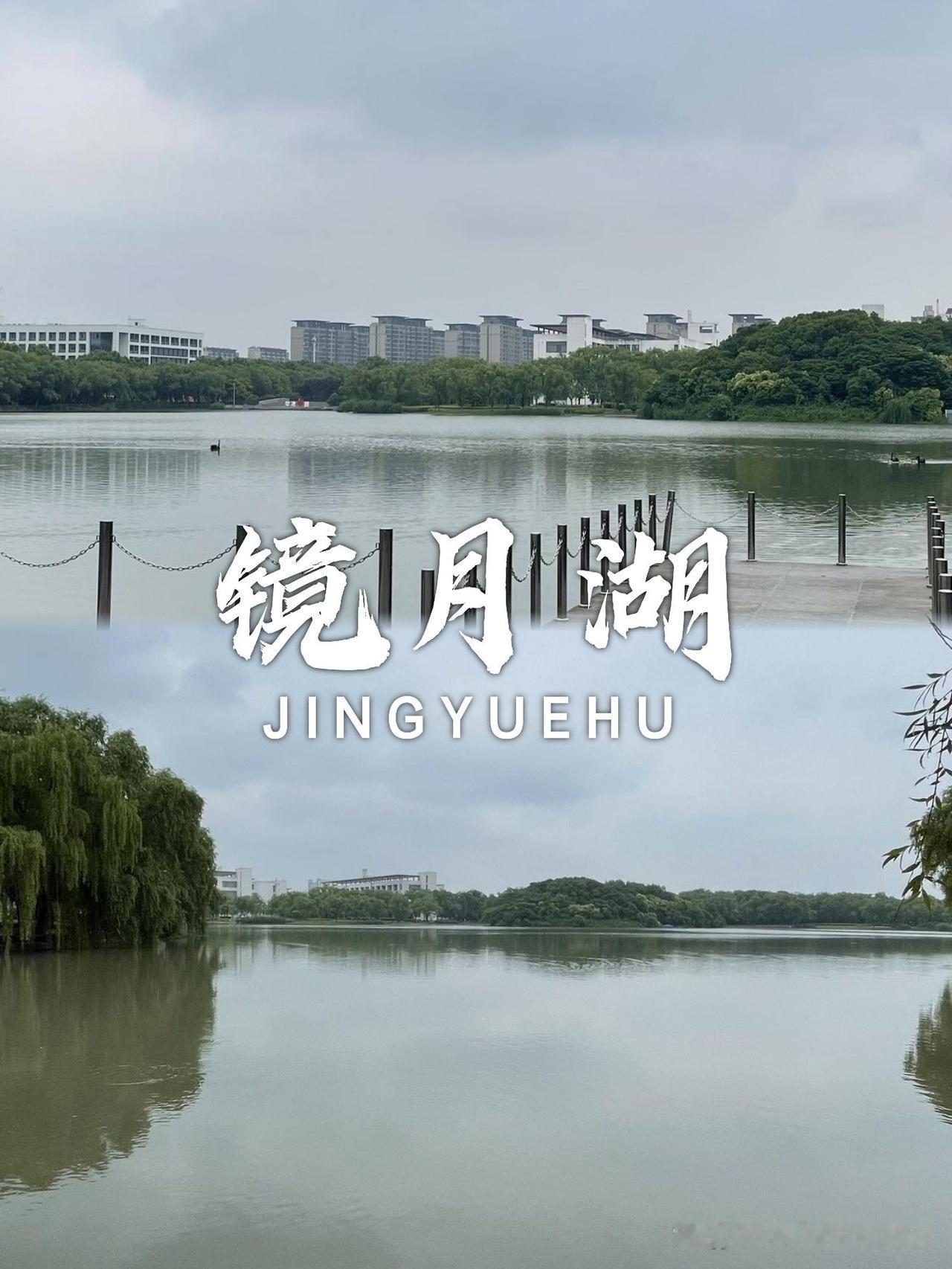 魔都小众秘境🌿镜月湖初探

发现了一处藏在城市里的绿野仙踪！人少景美还出片，周
