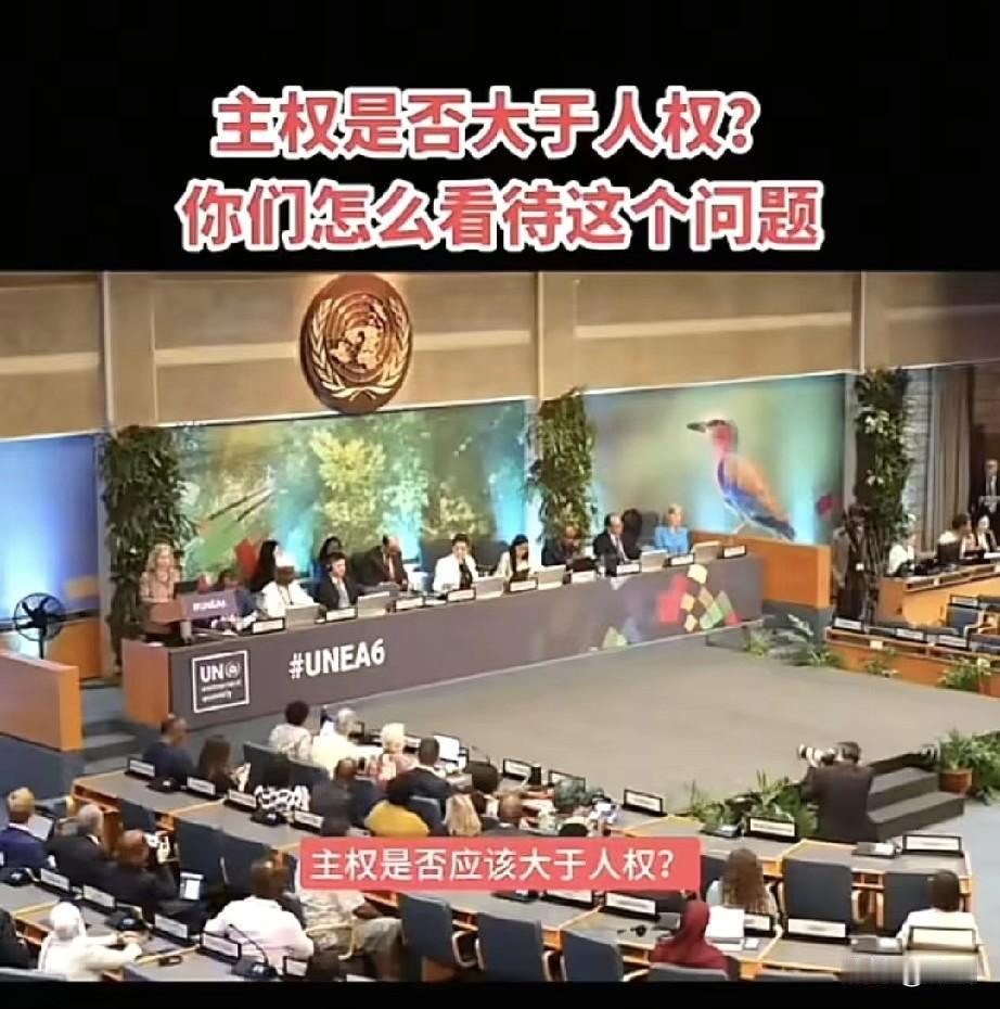 人权和主权哪个更大？别庸人自扰了，因为这可能是个“美丽的误会”。国际上并没有这个