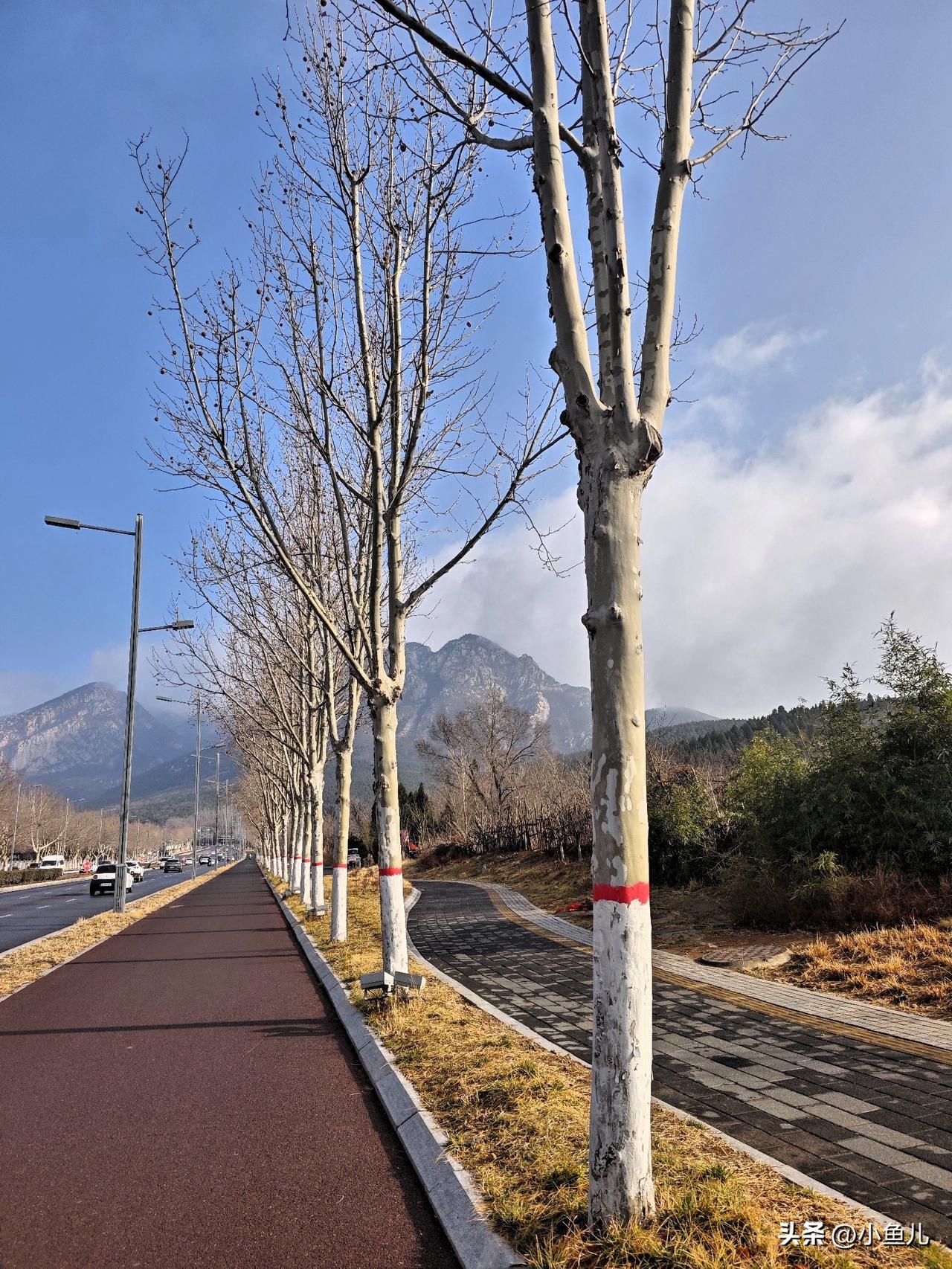 没有精心构图，也没加滤镜，就是当下觉得舒服，随手定格下来。

生活里哪有那么多惊