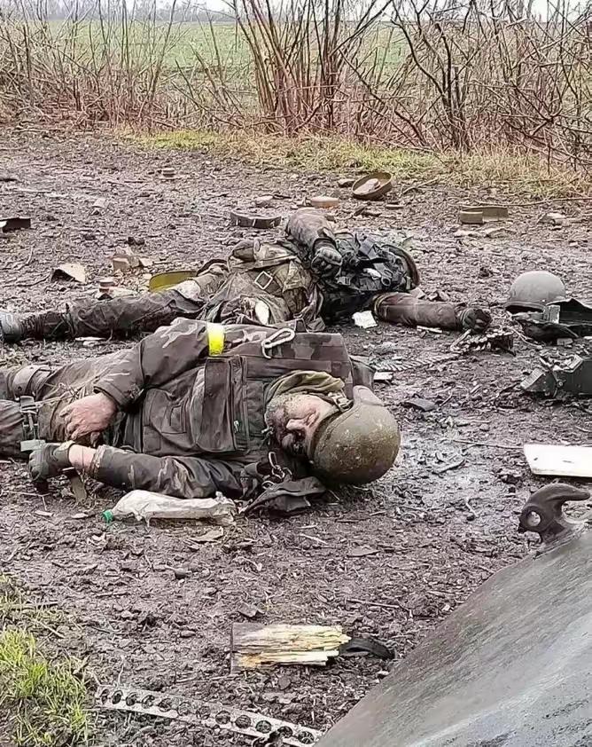 普京下令炸平港口！眼看冲突大局已定，北约眼看冲突大局已定，北约也向乌克兰开炮，俄