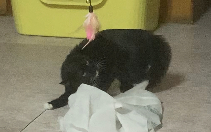 ？ 