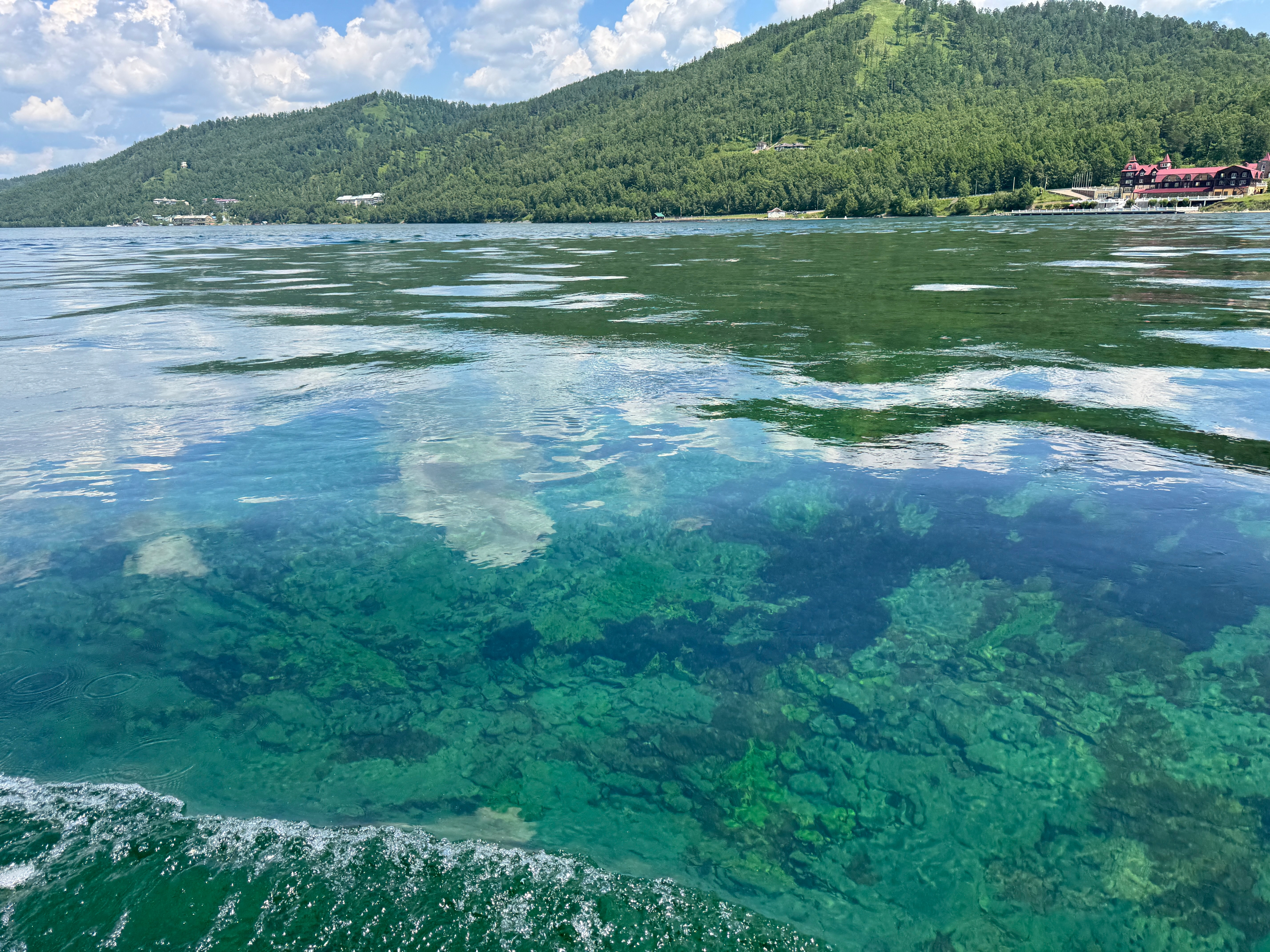 上午参观贝加尔湖博物馆，有的东西像史前生物。下午包了快艇沿湖岸观光，先后看见几只