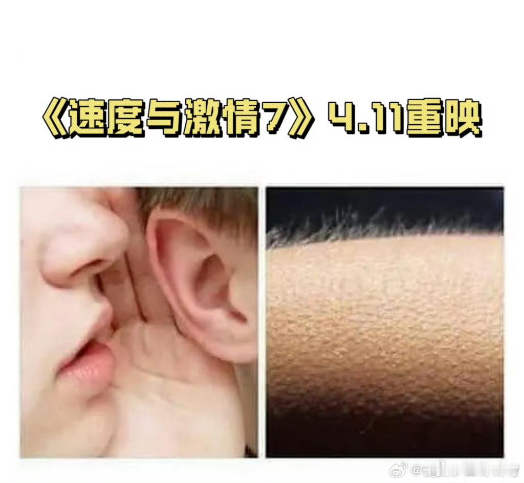 速7已经十年了速度与激情7  我们死磕到底的热血，在4月11日这天，依然烫得能拧