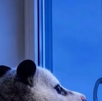 每日一善  做人要宽容，心容千缺，受得起百污，这是你的修养；做人要善良，心存仁爱
