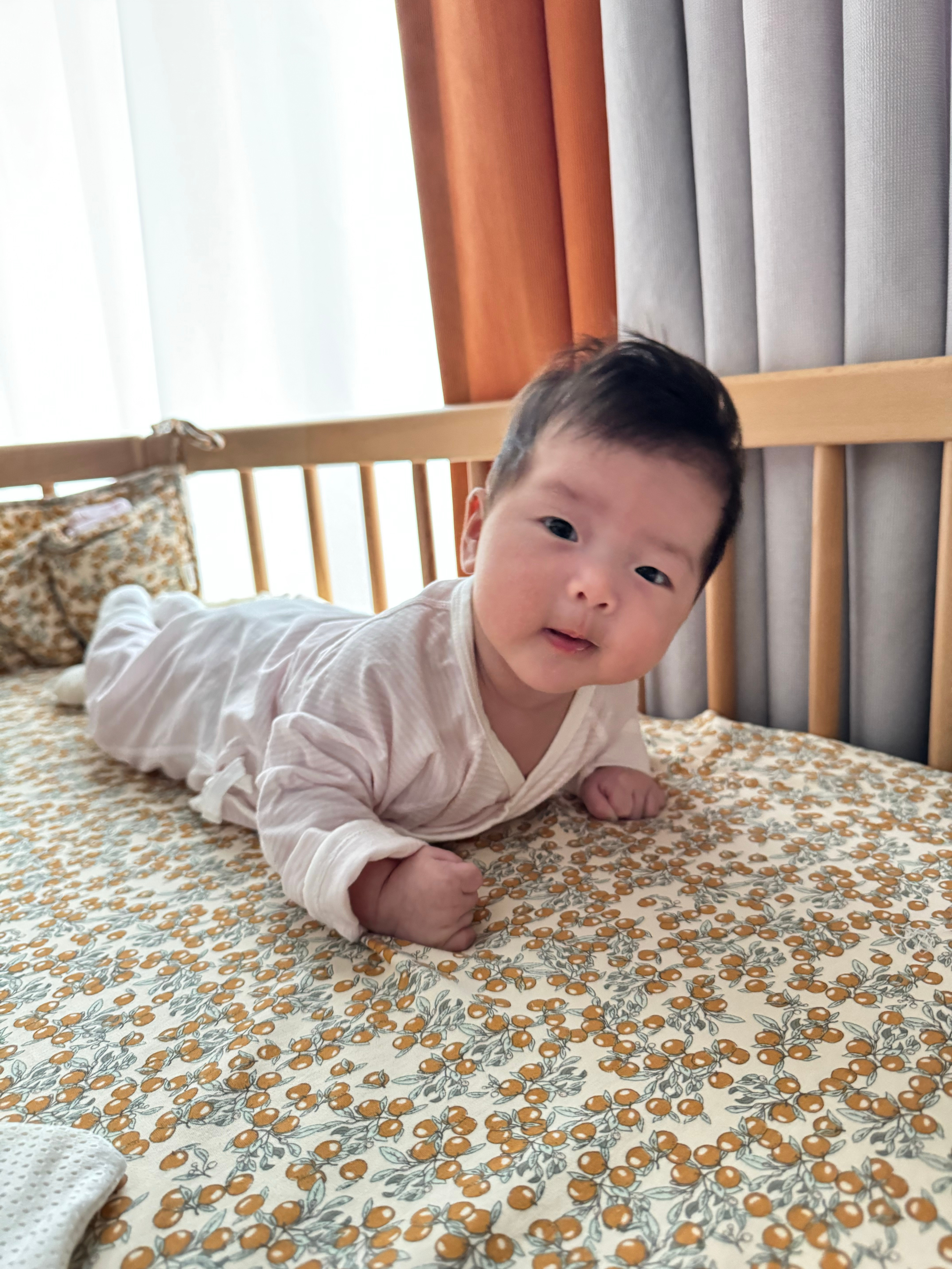觉得自己抬头练完了，想爬爬不动，着急的锤锤[喵喵]汤包的煲崽日记 ​​​