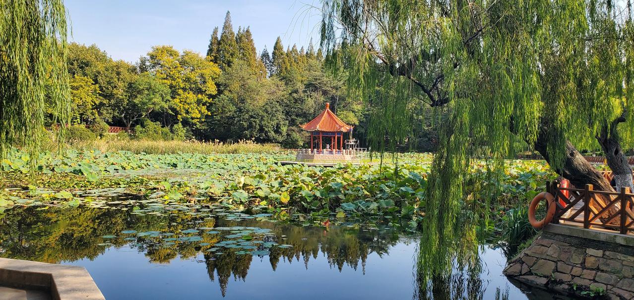 王铎：中山公园“小西湖”的来历
在青岛中山公园“小西湖”岸边，树立着一块“小西湖