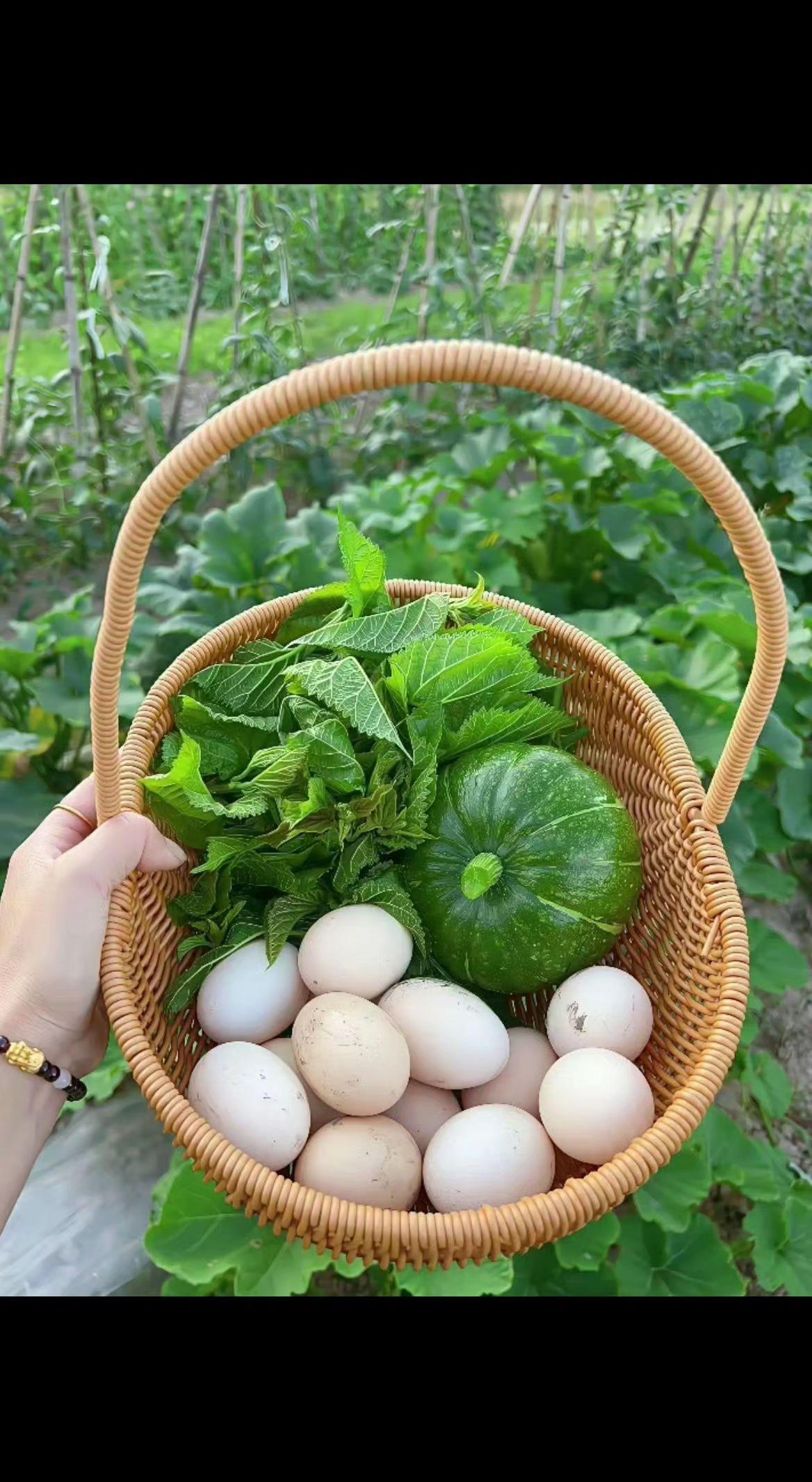 🥬竹篮里盛着整个夏天的心跳💓 土鸡蛋卧着晨露，小南瓜顶着绿星✨ 原来最野的诗
