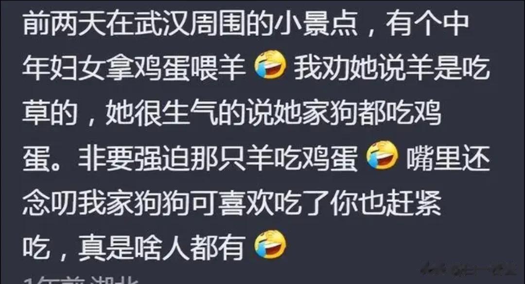 羊很无语[what]