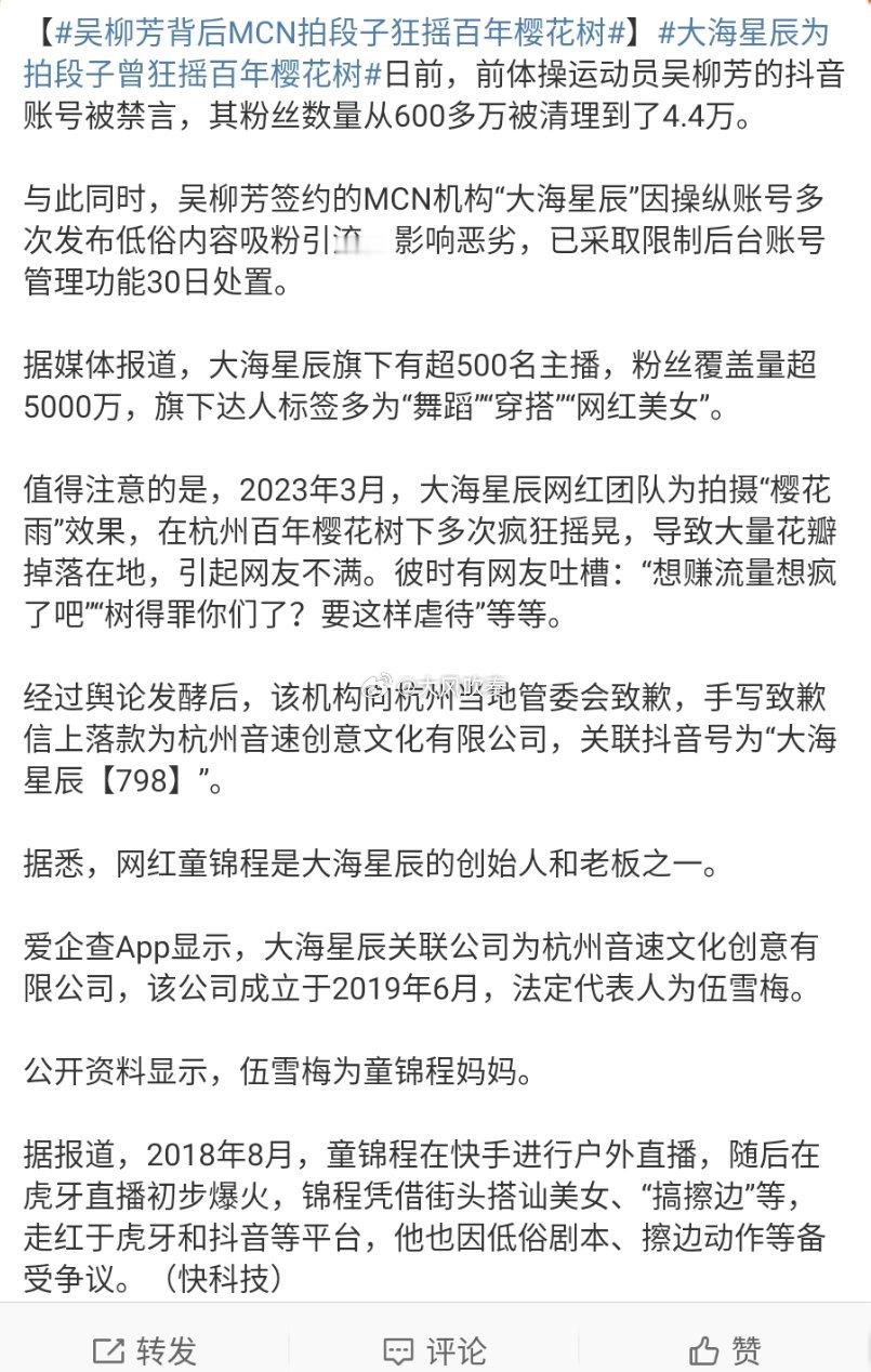 吴柳芳背后MCN拍段子狂摇百年樱花树 MCN机构其实已经具备媒体的一切功能，并且