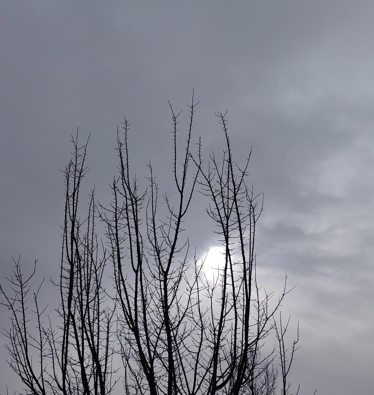 据传，南博退休院长徐某已被带走调查。
有意味的是，公安先在其家别墅周围“停”了一