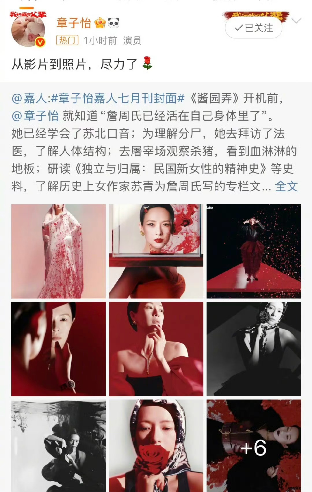 章子怡的无奈，《酱园弄》尽力了，带不动啊！[允悲][允悲][允悲]章子怡 尽力了