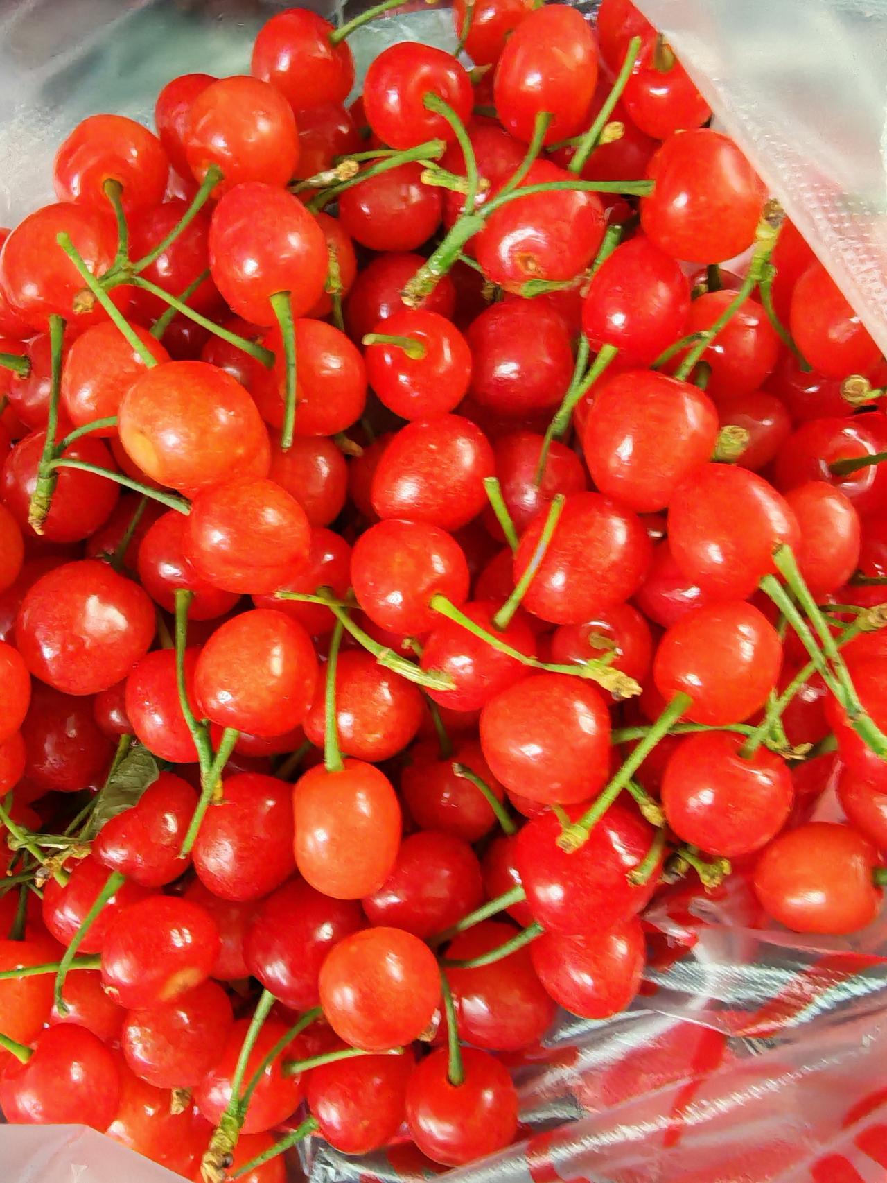 樱桃好吃树难栽，下一句什么来着？