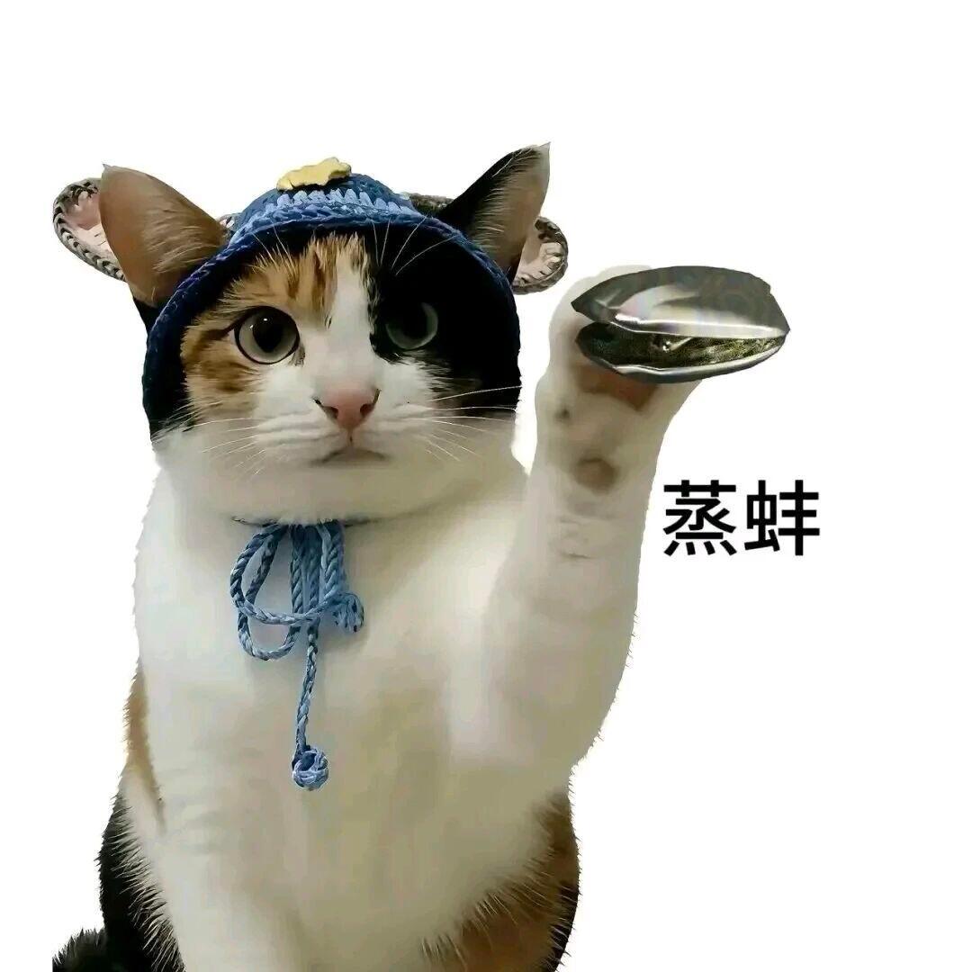 国产手机涨价2000元有没有人把手机价格打下