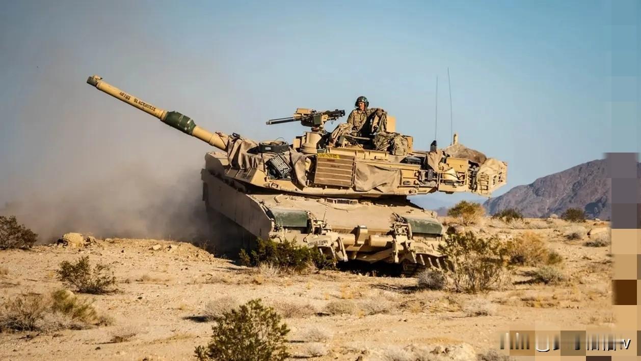 尽管利雅得陆军拥有超过550辆的M1A2S坦克，但是理论上利雅得陆军仍然保有大约