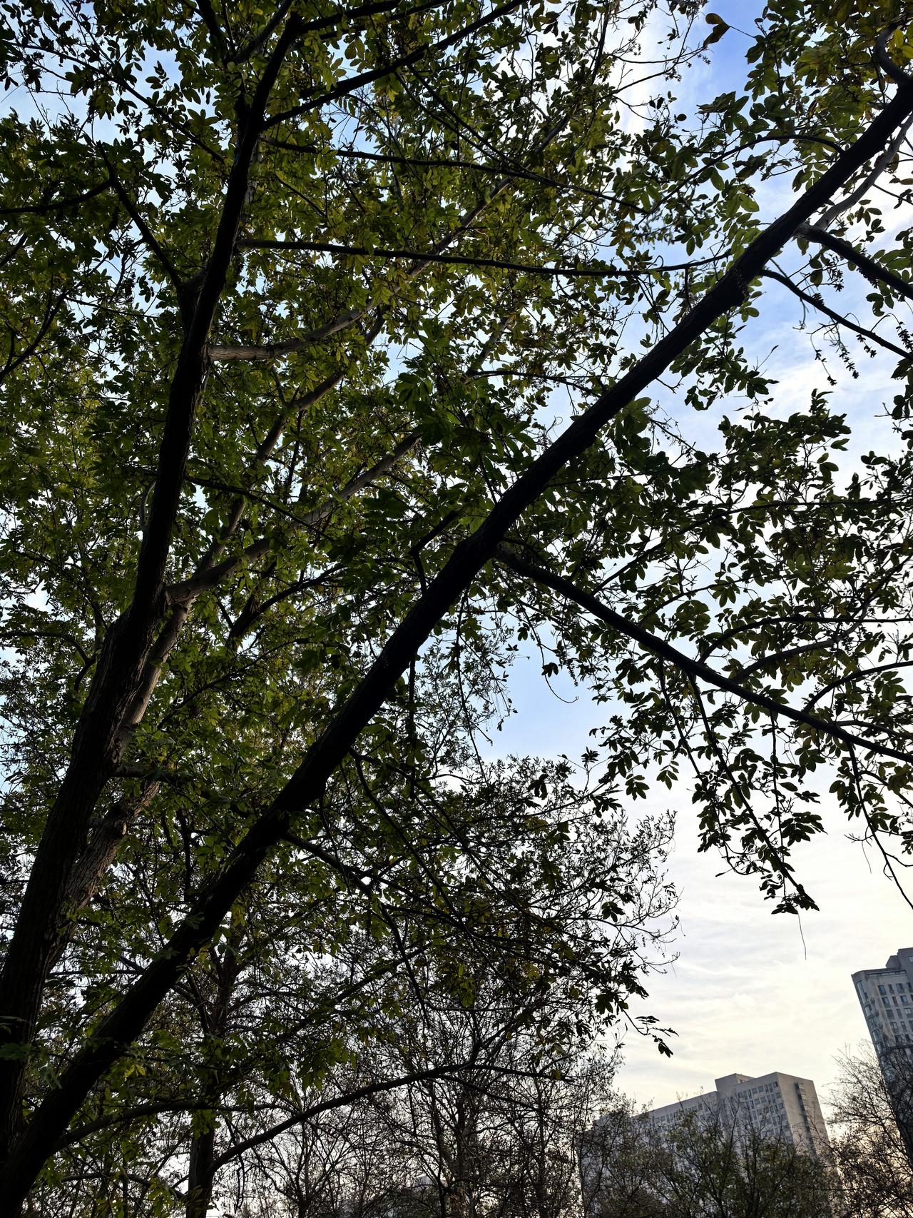 原配不理不睬，男人乐在其中，苦的只有那个她？

小红书那地方，简直是婚外情的情绪