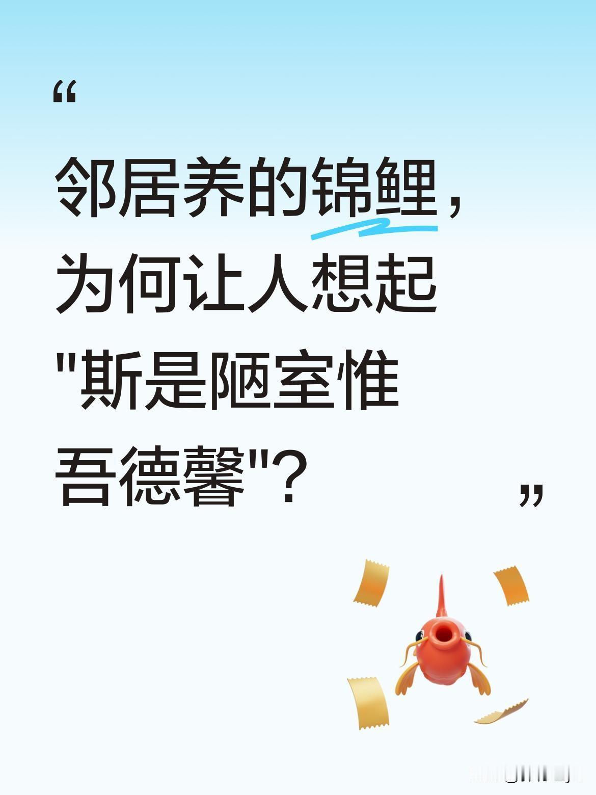邻居养的锦鲤，为何让人想起"斯是陋室惟吾德馨"？
近日有男子偶然发现邻居养的大锦