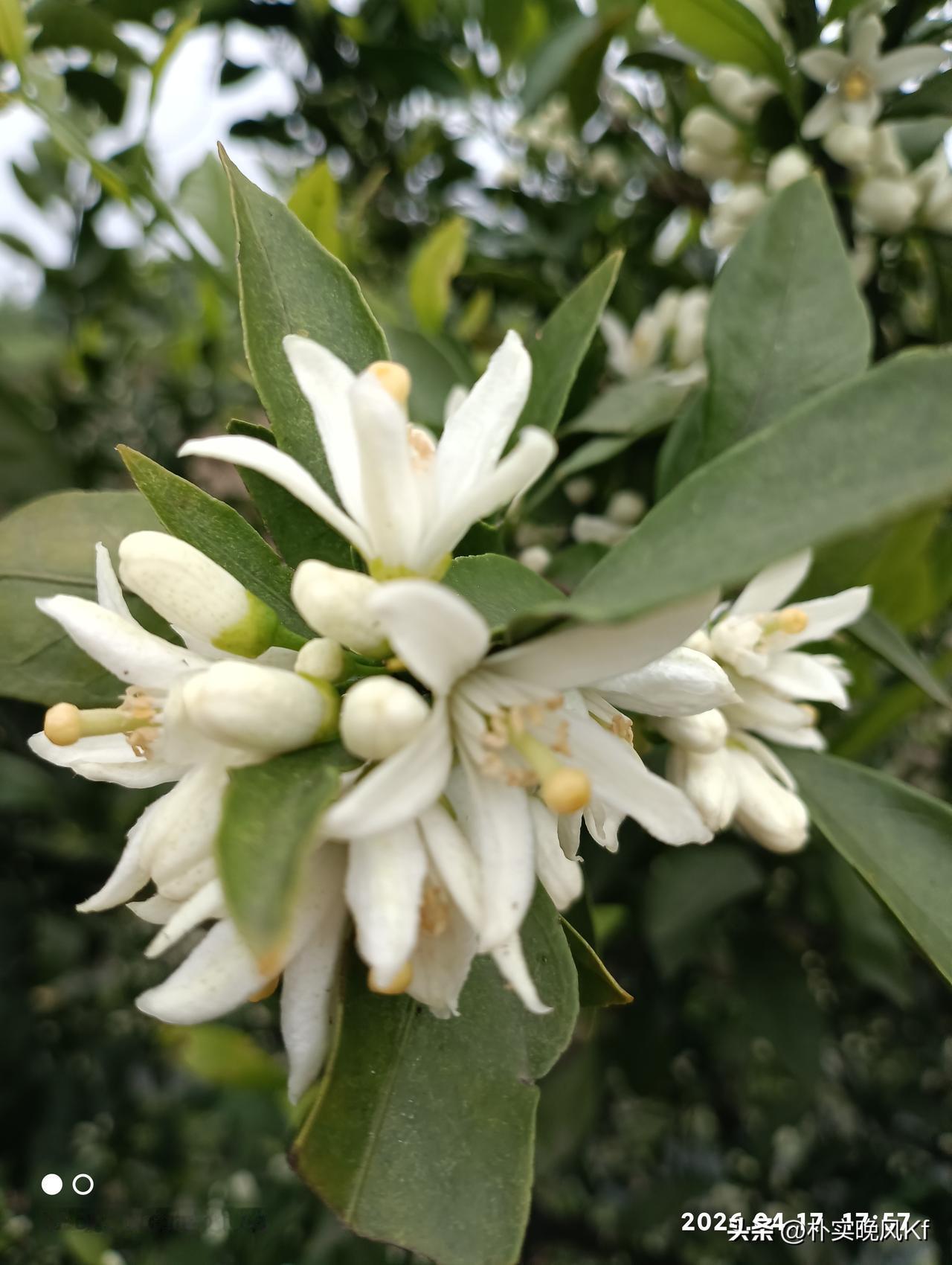 爱情永远是春天,这句话对吗?
爱情永远是春天只是个比喻而已。春天不一定都是美好的