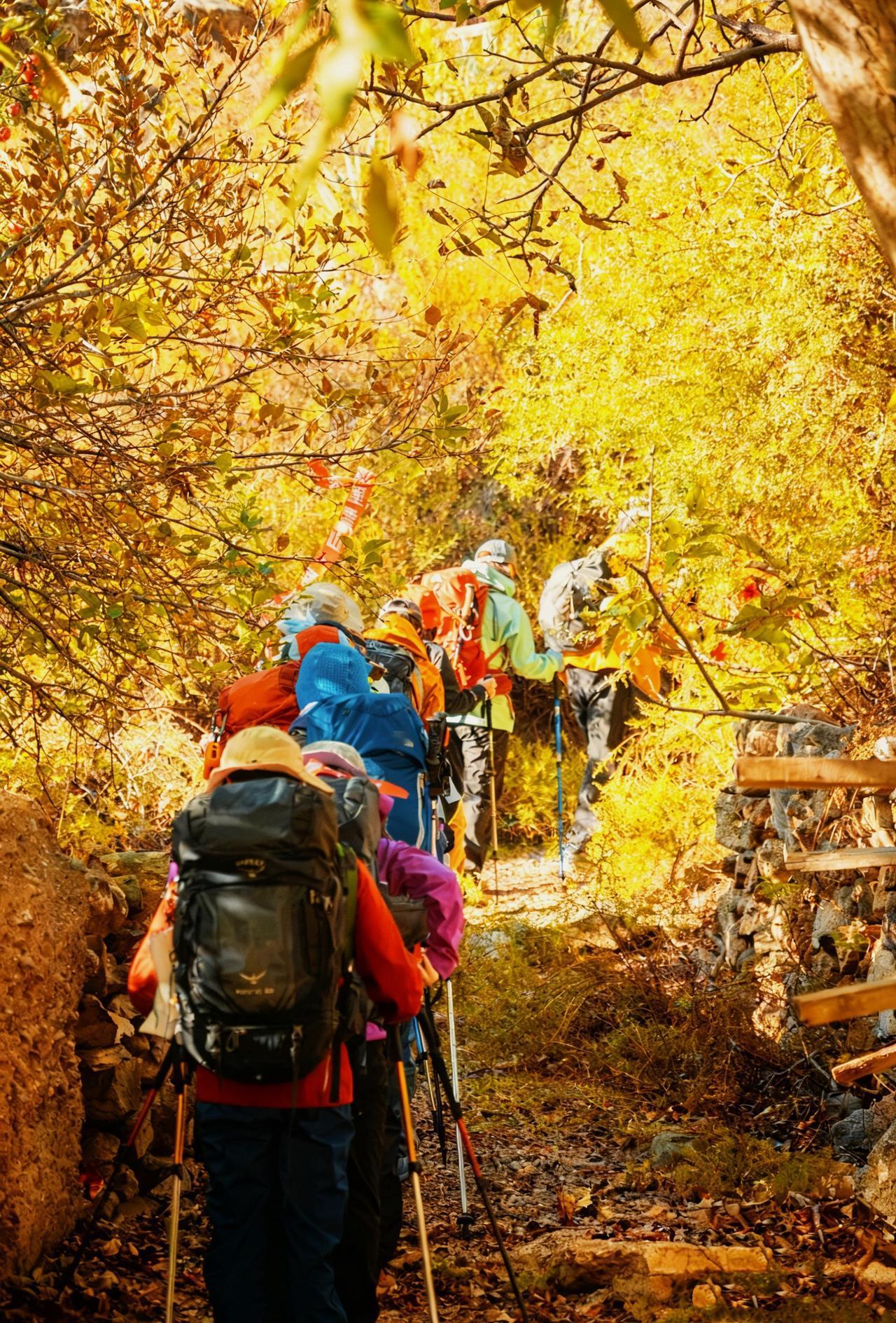 📕行程安排：
D1：全国各地-丽江
D2：丽江-小中甸-月亮湾-飞来寺
D3：