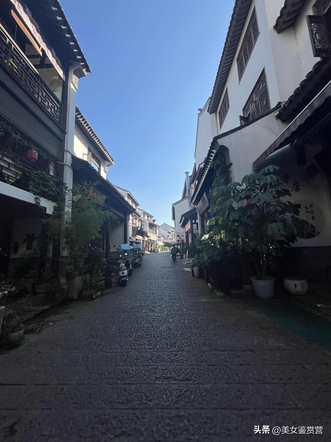 冬日生活打卡季