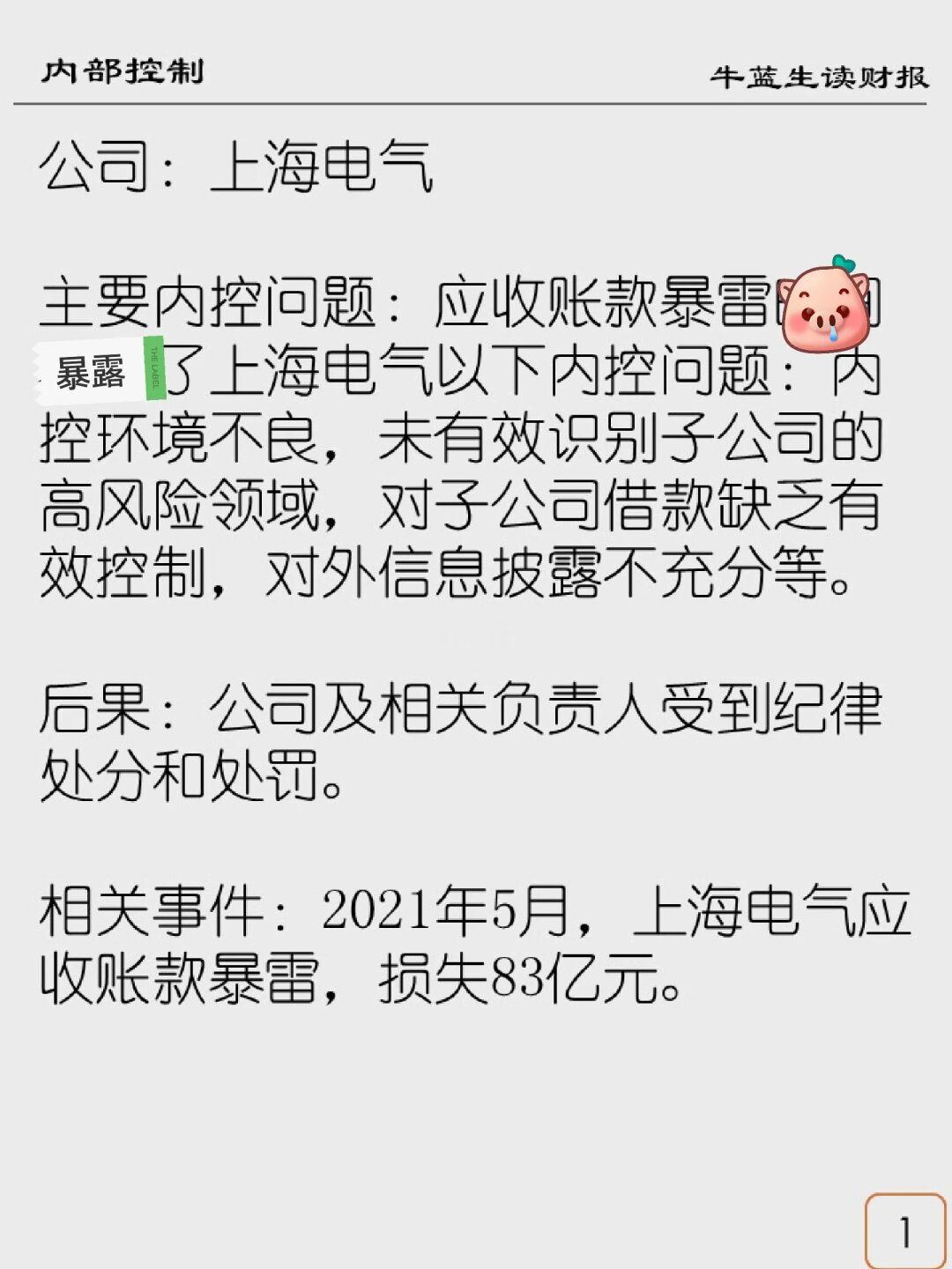 内部控制案例集 | 13 上海电气