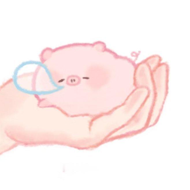 我家掌上明猪>🐽< TOP团综飞行嘉宾