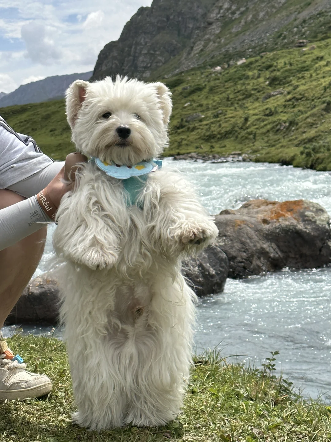 小狗勇闯新疆第六站：穿越独库公路🛣