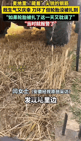 “真是缺德坏透了！”河北临漳，女子开收割机收麦，割到地中间时发现麦地里藏着尖锐的