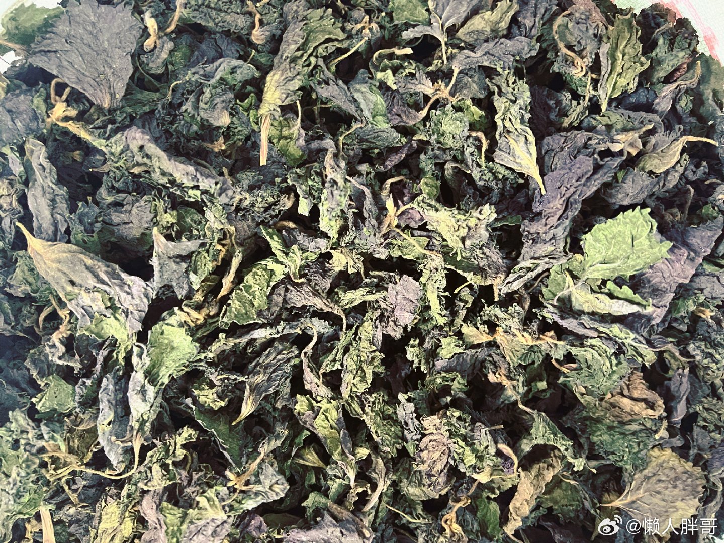 这是啥？吃货