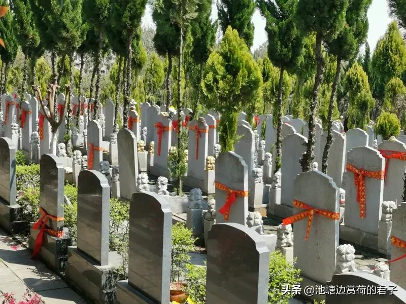 公墓价格下降对民众有多重要 公墓价格下降，那可太重要了，简直是给民众送福利！
从