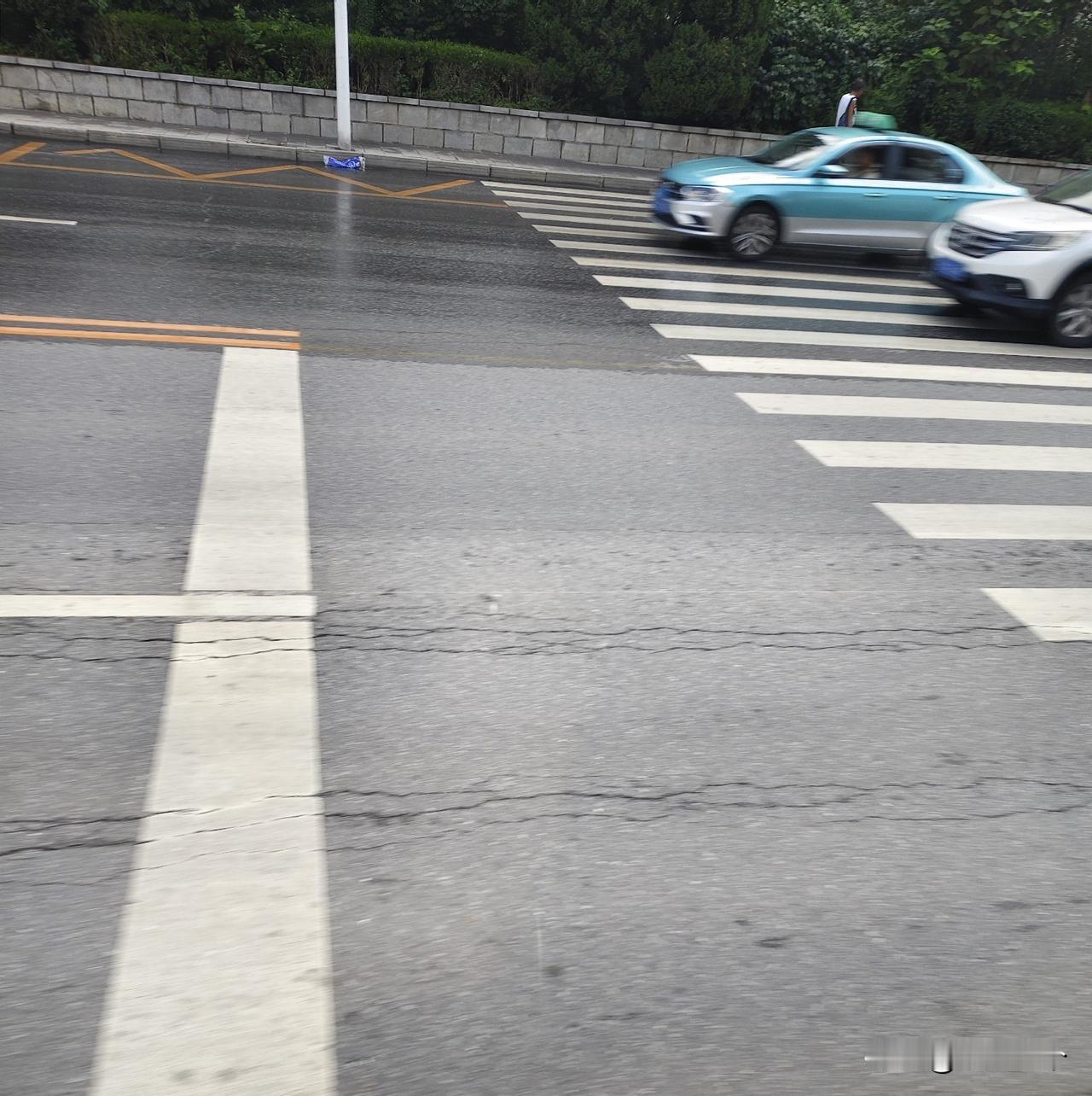 秋雨不过道这不是什么稀奇事，但是秋雨半条道不过就有些不厚道了吧，这两天大连天气多
