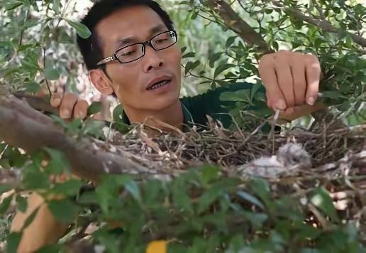 这篇文章讲述了广东一名曾经身负千万债务、几度寻死，却在绝望中偶然发现鸟类养殖的机