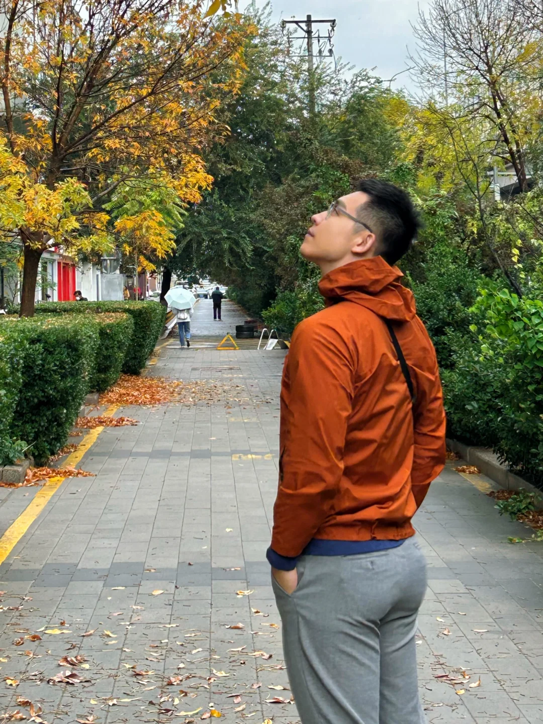 可以给我看看你遇到的秋天吗？🍂