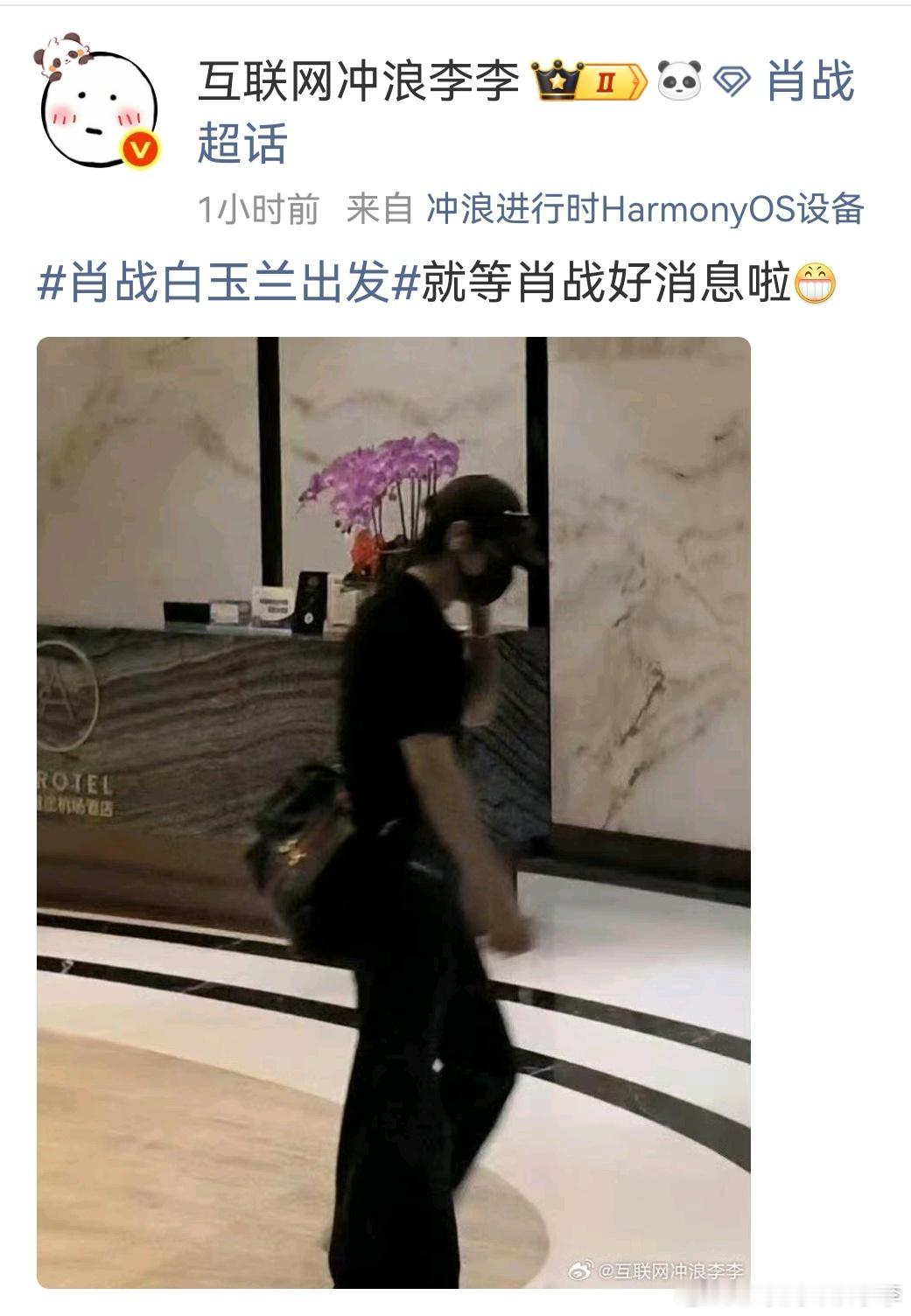 肖战白玉兰出发家人们何意味啊，我发的不是机场图吗怎么还把我禁言了白玉兰不是公开活