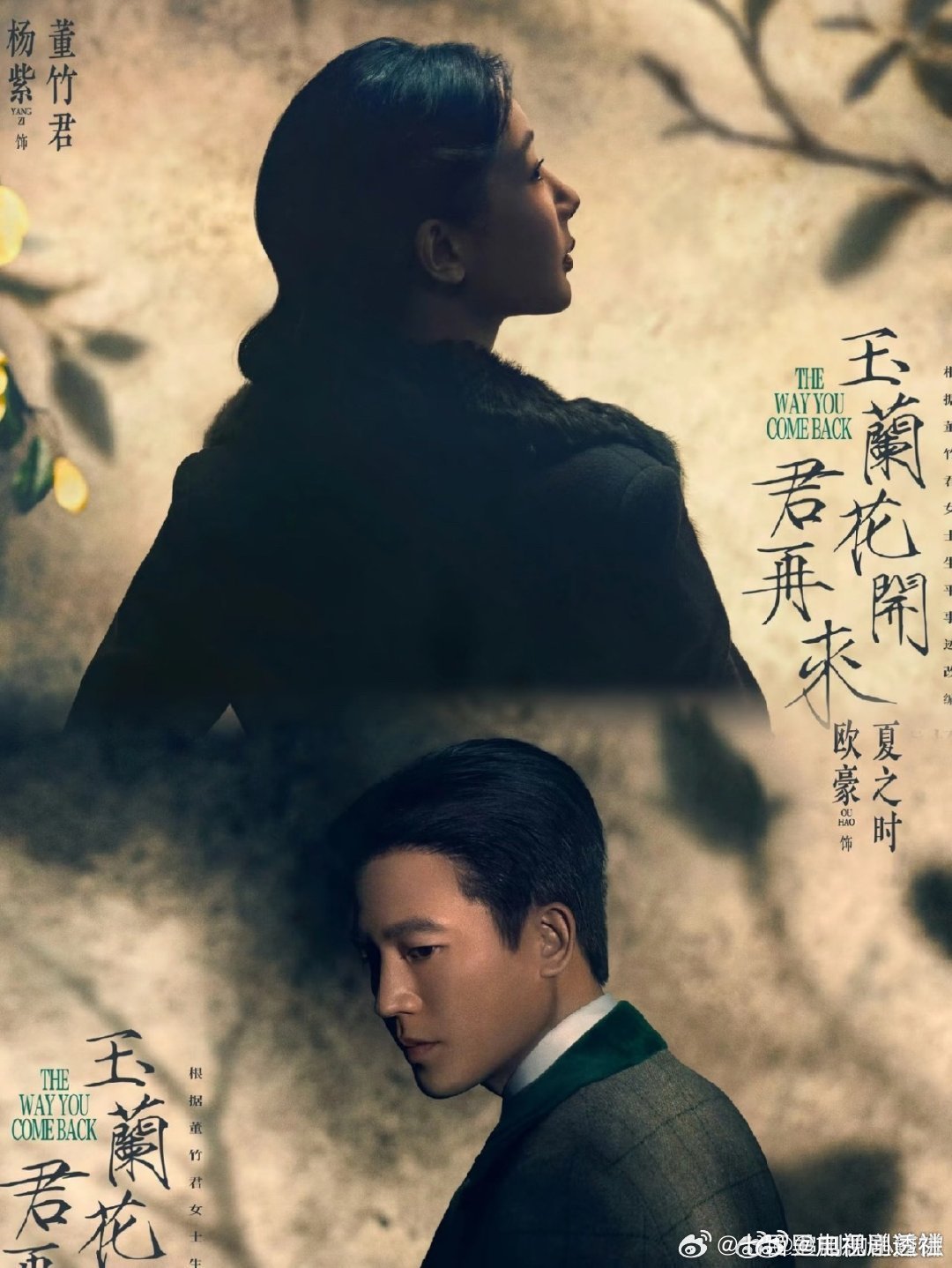 民国剧101，你最期待哪一部？《这一秒过火》张凌赫 王楚然《玉簟秋》丞磊 徐若晗