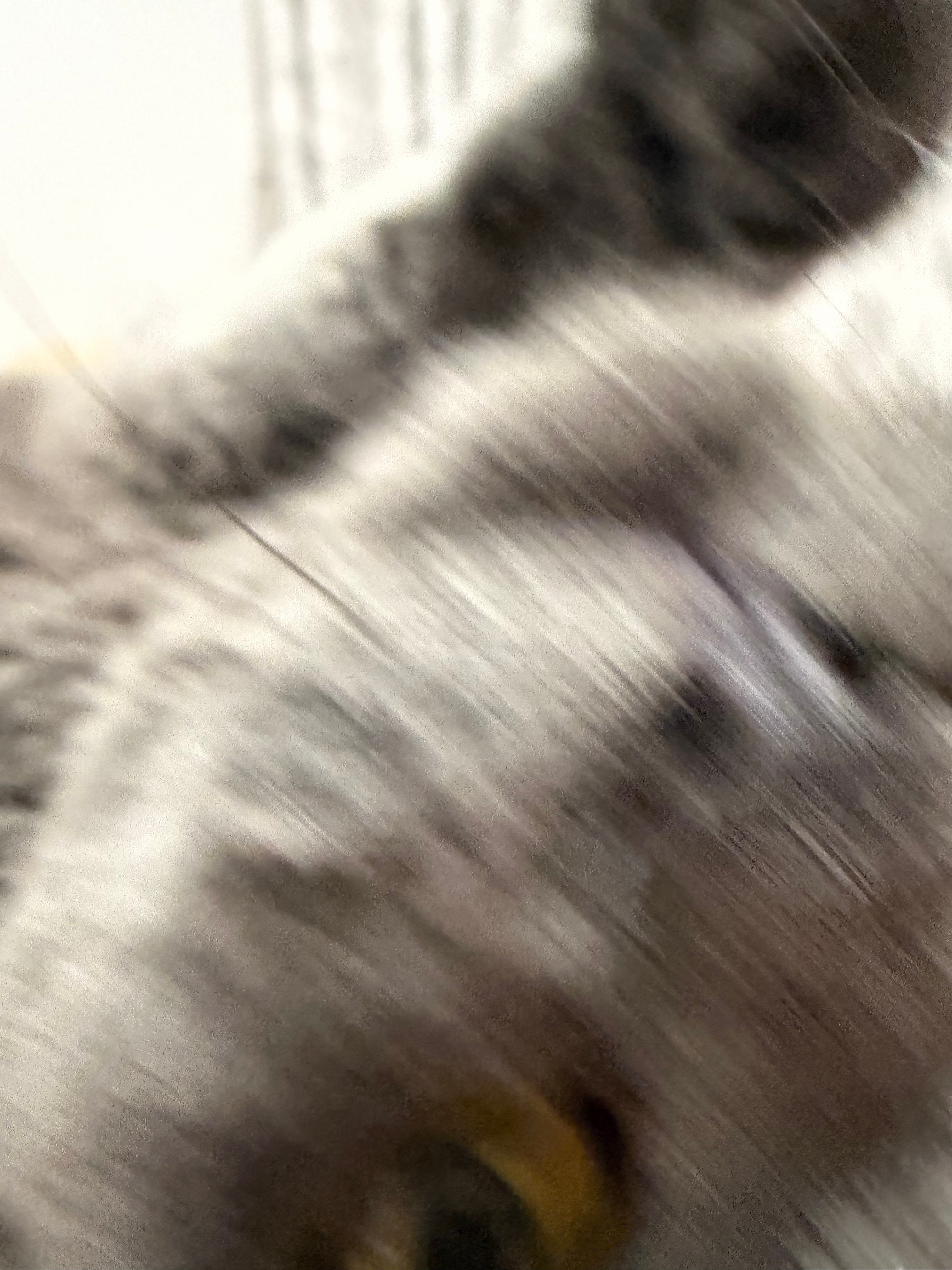 姨姨们好 