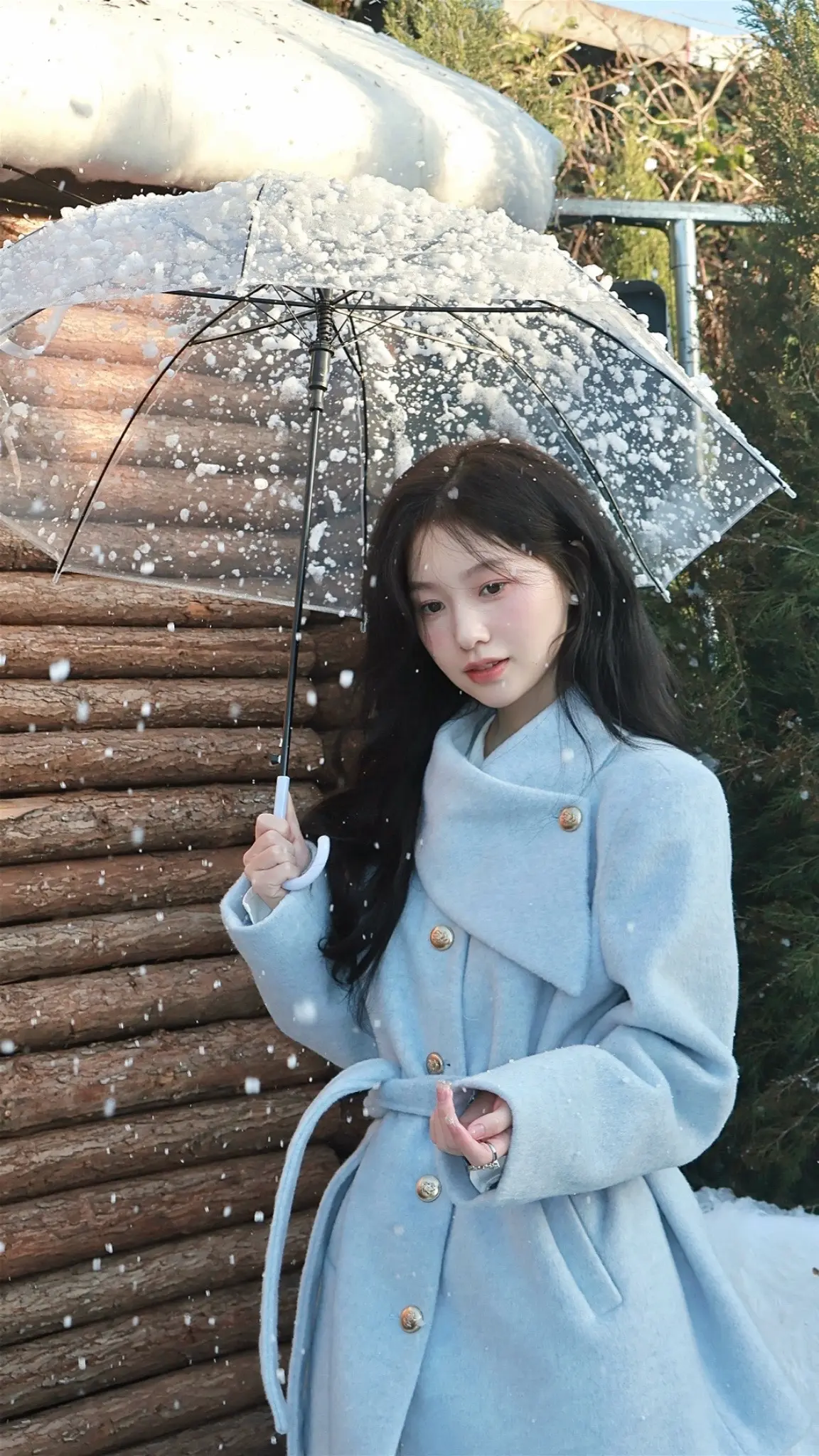我的心像片雪花 为你存在冰封成依赖
