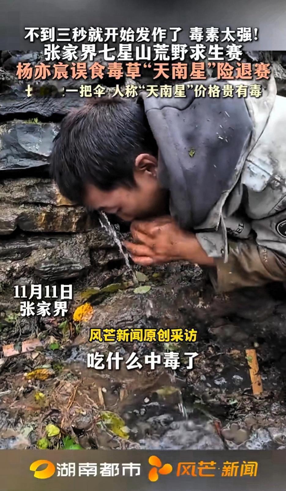 不到三秒就开始发作了！毒性太强！
荒野求生比赛实力派选手杨亦辰误食毒草“天南星”