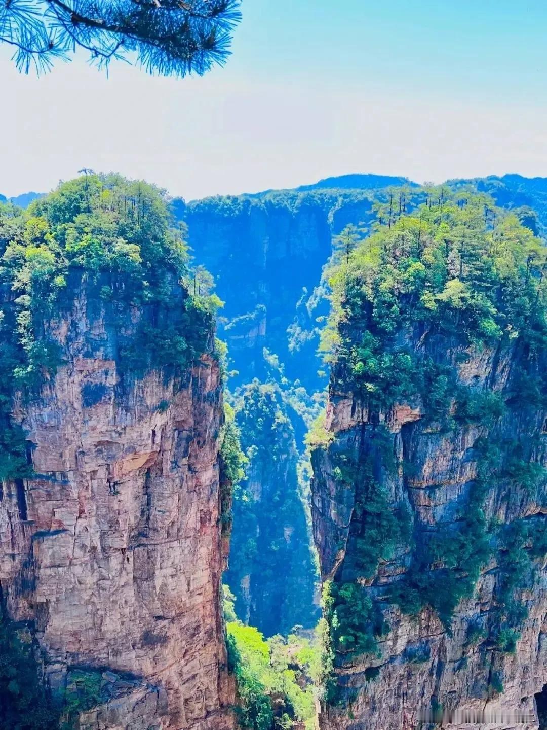 这些都是资本运作，资本的本性：追逐利润，榨干每一位普通人的血汗钱，一切均在资本掌