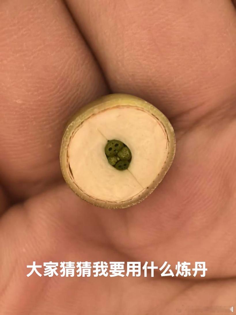 相术不只是看手纹那么简单。我见过一个老先生看手，他不看纹路，而是喜欢先摸摸。摸人