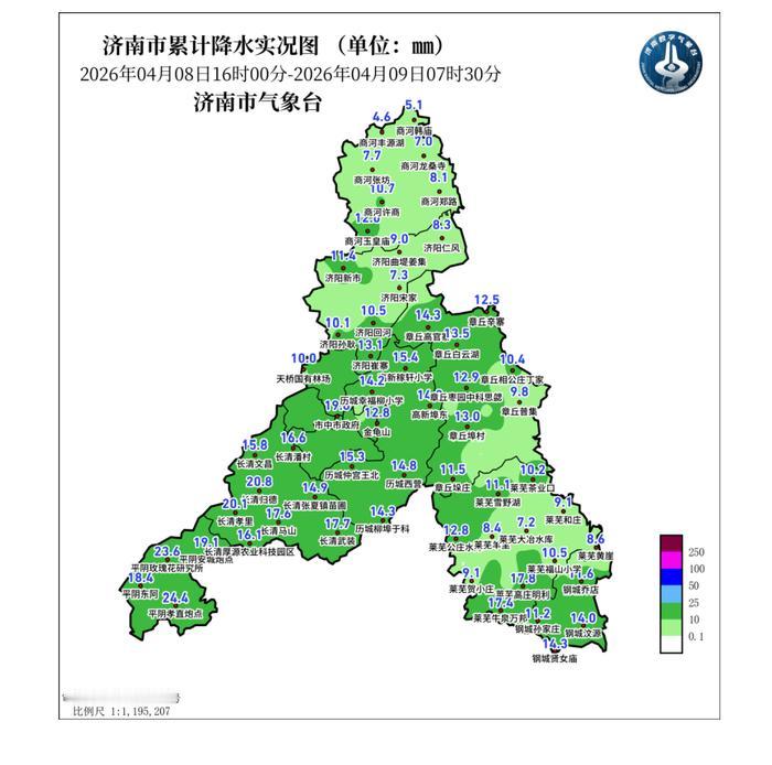 一场轻柔的降雨让济南的春天更加明艳起来，挂着雨珠的樱花和萌新的树叶分享着生长的喜
