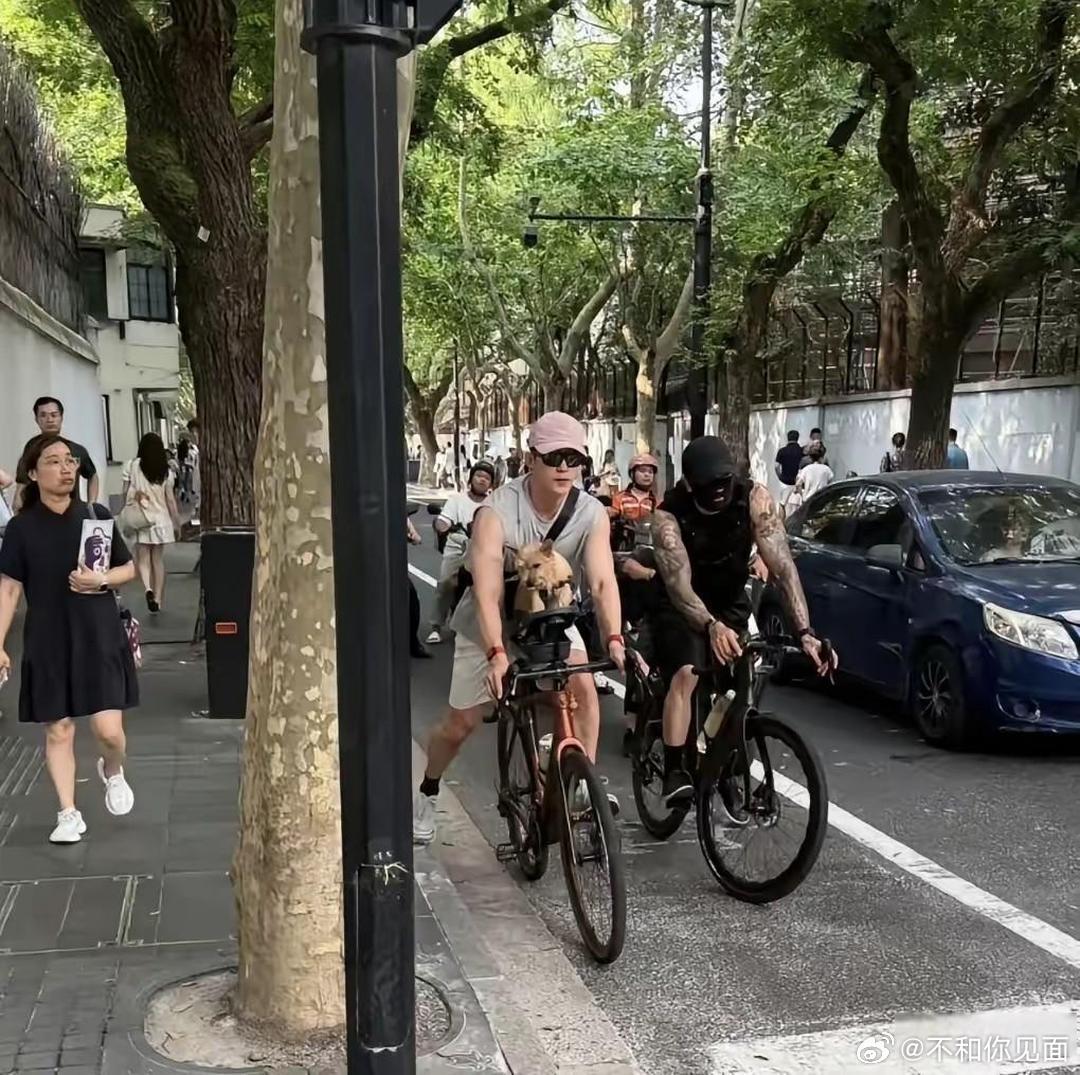 偶遇34岁的黄景瑜在上海新天地遛狗！这身材管理也太绝了吧！穿着无袖上衣，两条大手