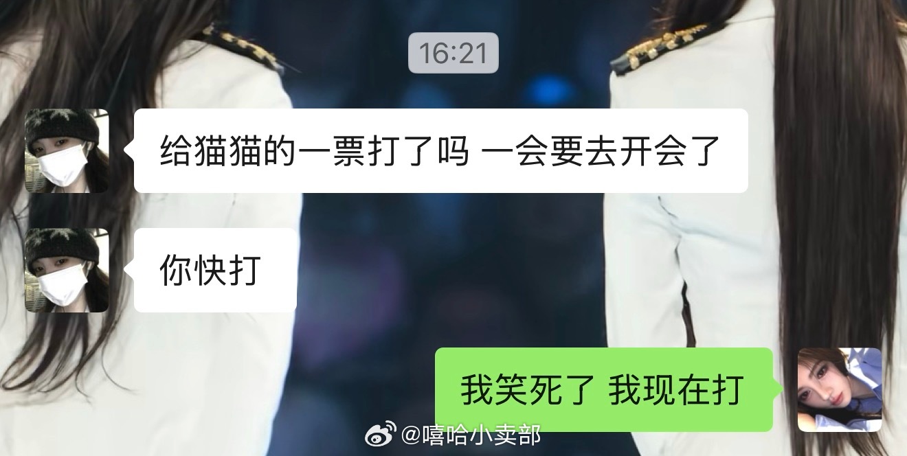 我服了你们猫塑了！ 