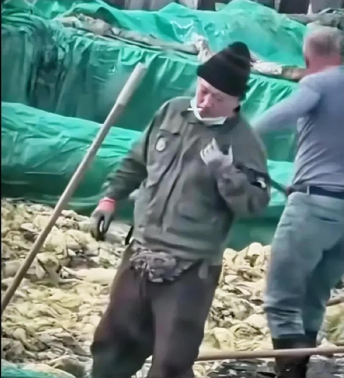 网上有人发出辽宁葫芦岛一家酸菜厂的视频，画面里工人直接穿着胶鞋踩进酸菜发酵池，他