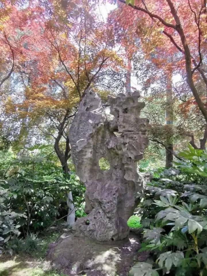 当年，史泰龙在洛杉矶挑战李小龙，常年练习拳击和健身的他，以为李小龙个子矮矮的根本