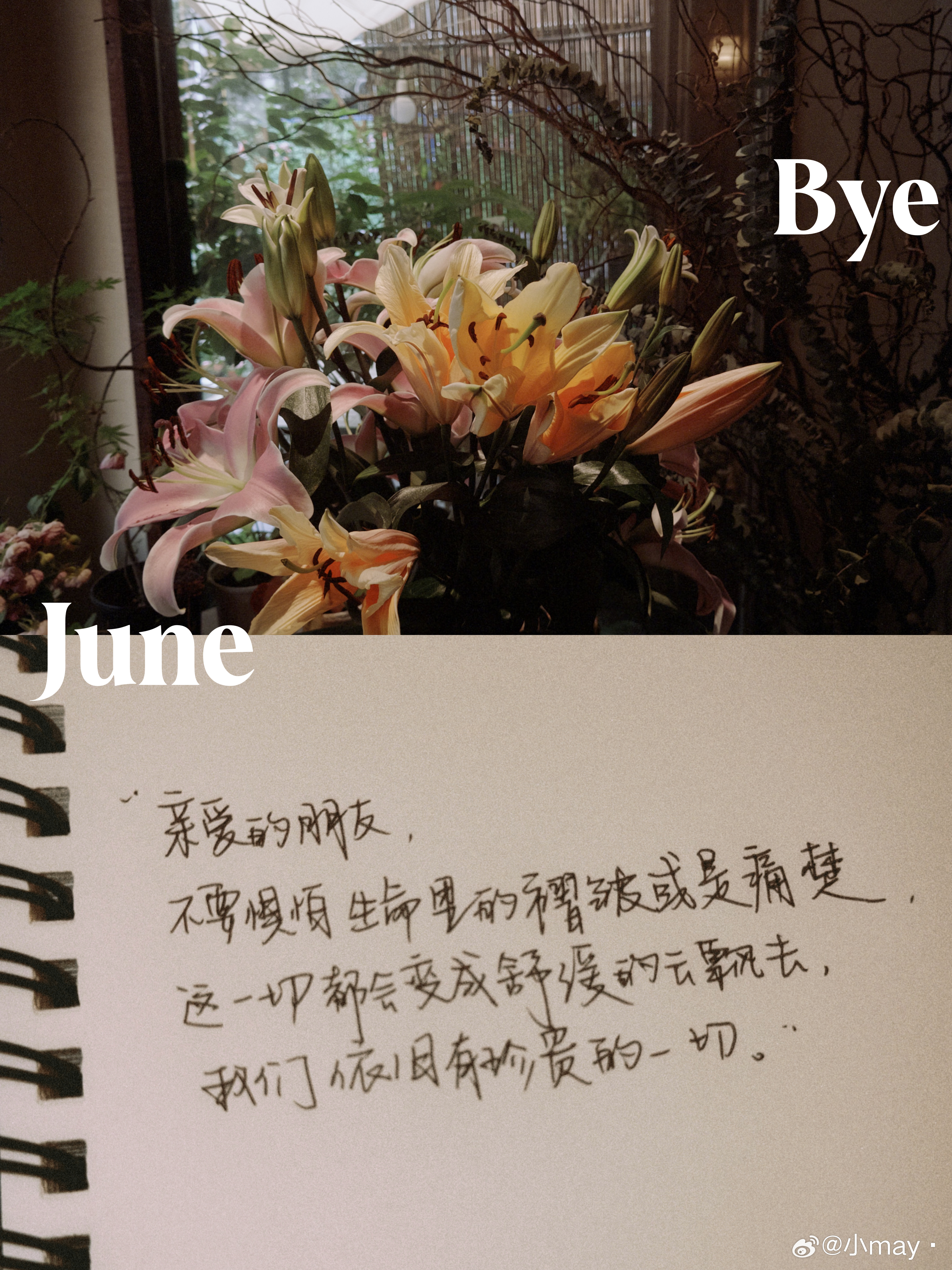 想起来看到的那段话：“亲爱的朋友，不要惧怕生命里的褶皱或是痛楚，这一切都会变成舒