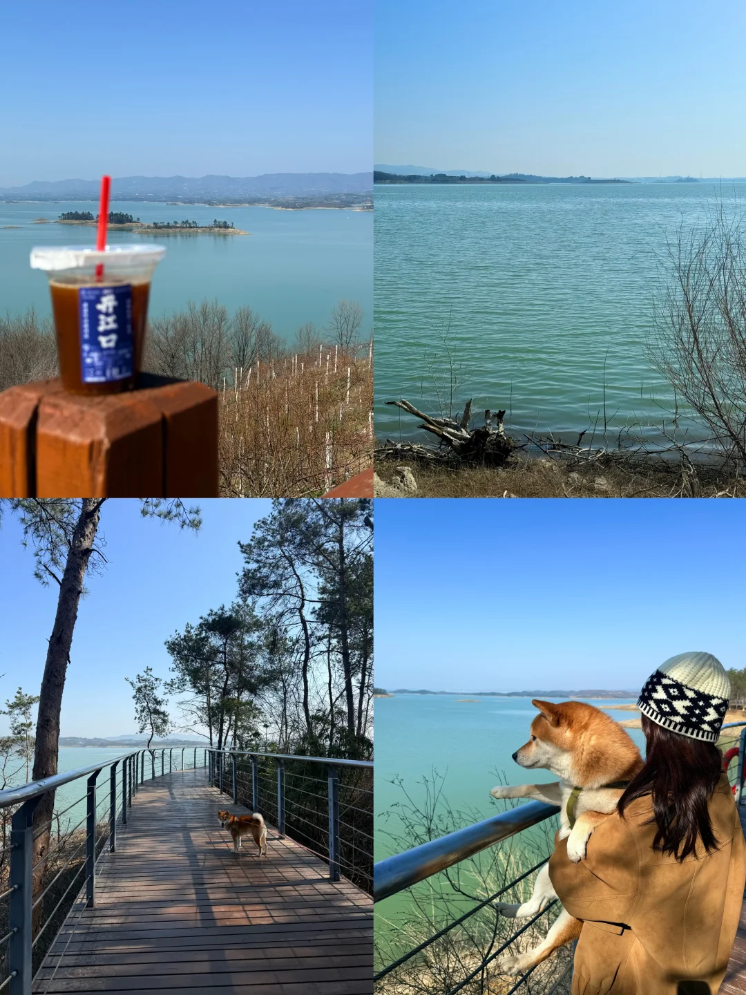 西安出发5h｜丹江口有自己的“洱海”🌊