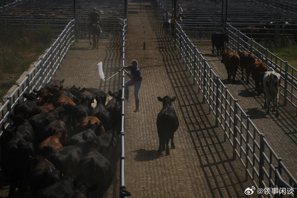 【别再提关税战了：欧盟和南方共同市场正在构建世界上最大的自由贸易区】（美联社）—