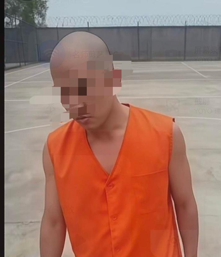 老金毛撂挑子了，被金毛的事情搞崩溃了，彻底放弃金毛了
    老金毛最近心情非常